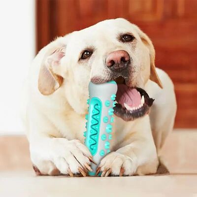 1PCS Dog Dental Chew Toys for Teeth Cleaning Puppy Teething