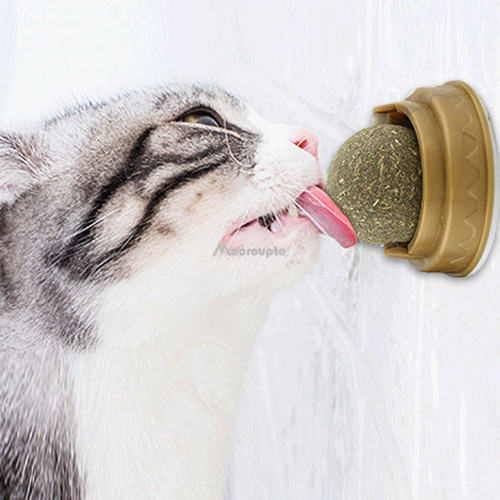 Natural Catnip Cat Wall Stick-on Ball Toy Treats Healthy Nat