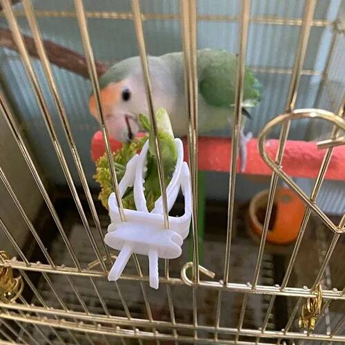 Cute Small Pet Bird Food Holder Parrot Fruits Vegetables Cli