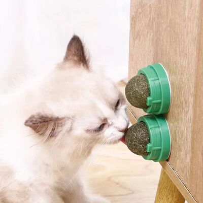 Catnip Cat Wall Stick-on Ball Toy Scratchers Treats Healthy