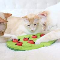 Cat Puzzle Treat Toy Made of High Quality Non Toxic Plastic thumbnail 4
