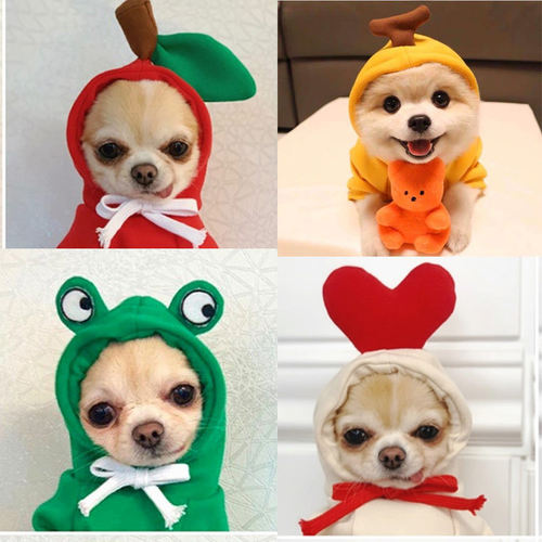 Pet clothing small and medium-sized autumn and winter