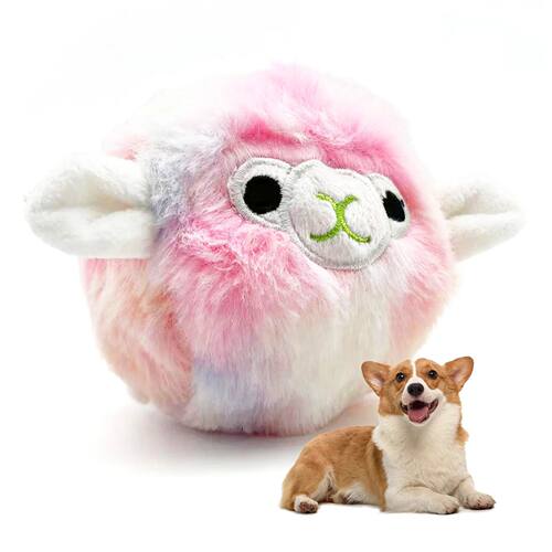 Pet dog toys, plush prickly balls, squeaking sounds, cute al