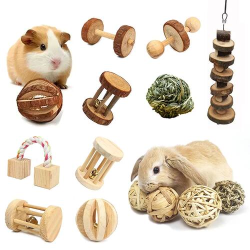 Guinea Pig Rabbit Hamster Small Animal Play Pet Roller Toys