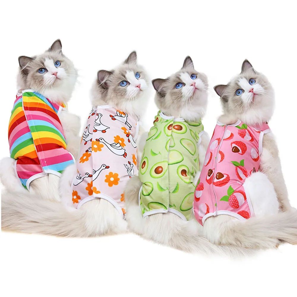 Cat Surgery Recovery Suit Female Cat Spay Recovery Suit Kitt