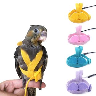 Parrot Flying Harness Leash Suit Pet Bird Outdoor Flight Tra