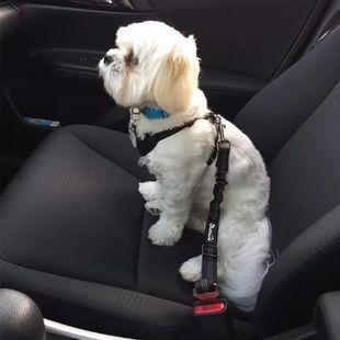 Hot pet supplies Car seat belt dog traction seat belt cushio