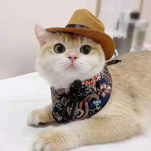 Pet Hat Dog Cat Western Cowboy Hat Halloween Pet Outdoor Cap