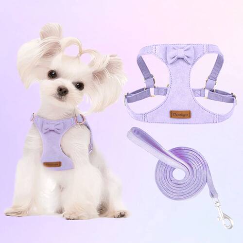 Trendy Premium Suede Dog Harness Leash Set -Small Dog Pet Ch