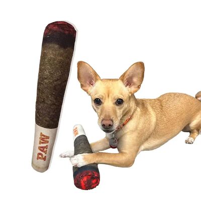 Plush Squeaky Toys for Medium, Small and Large - Cool Stuffe
