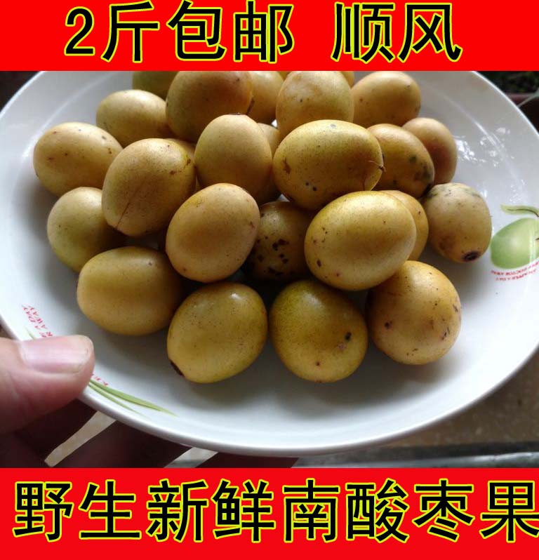 当季现采发货,野生南酸枣熟果,可食用,也可以除去果肉做手串等,也能做种苗成活.