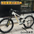 White Racing Bike (12-Speed with Adjustable Seatpost)