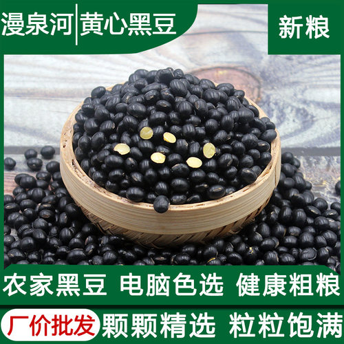 黄心黑豆发芽打豆浆做豆腐