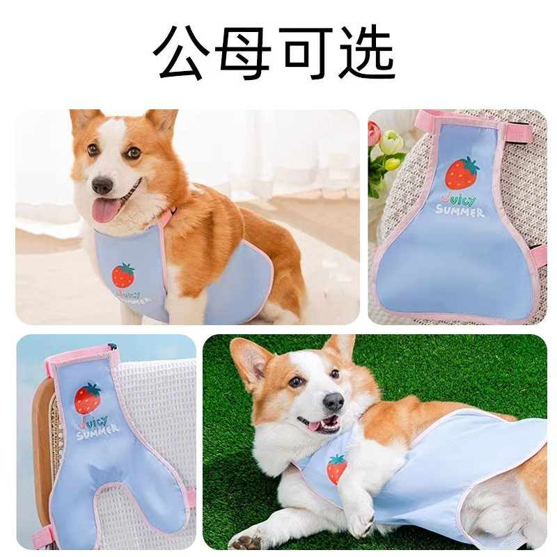 春夏季狗狗防水卡通水果草莓防脏柯基肚兜中小型犬腊肠宠物狗衣服