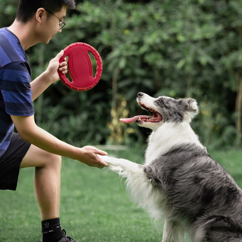 Meianju 宠物飞盘 狗狗玩具拉环互动训练中小型犬金毛狗拔河玩具