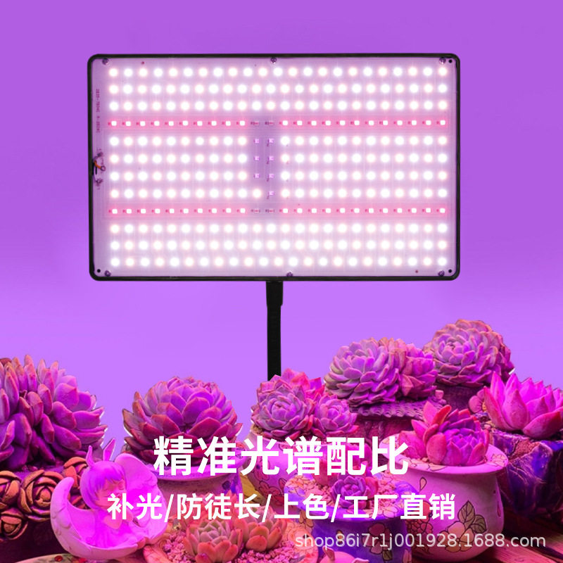 全光谱多肉补光灯花卉室