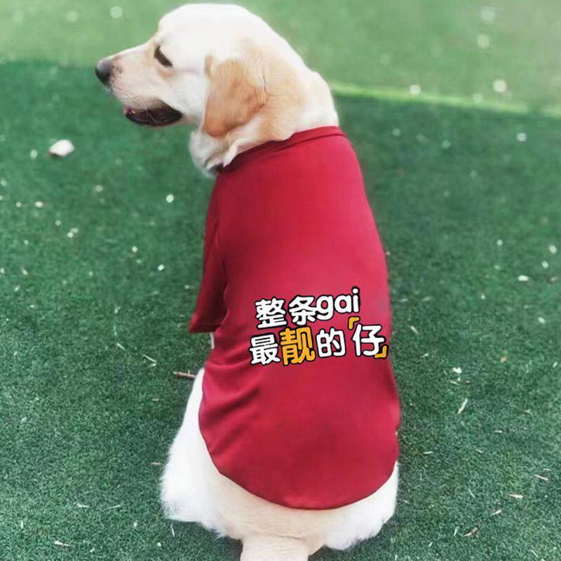 狗狗衣服夏天薄款卫衣大中小型犬拉布拉多阿拉斯加柴犬夏季装背心