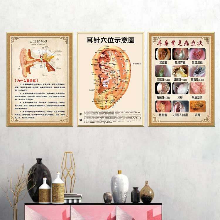 采耳图片中耳炎海报免费检查耳朵常见耳病症状挂图采耳店装饰挂画