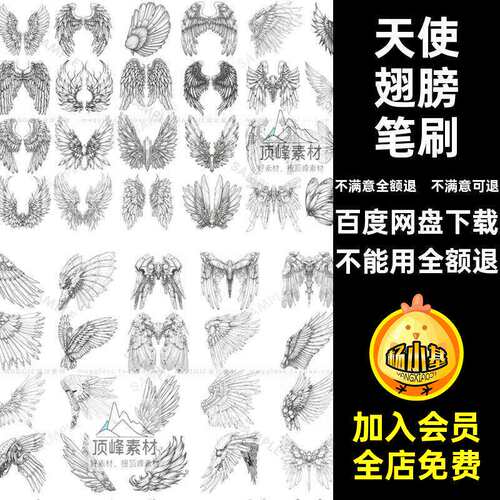 翅膀稿画笔Procreate漫画二次元插CG科幻翅膀线稿笔刷