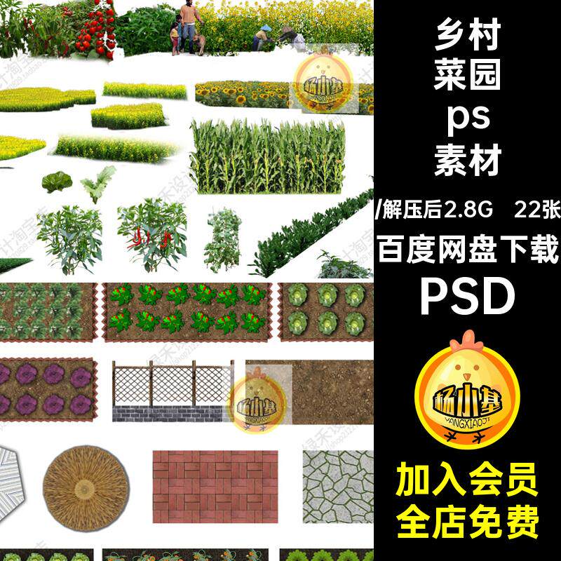 甘蓝菜园ps素材平面农村效果图庭院乡村psd分层蔬菜后期PSD植物