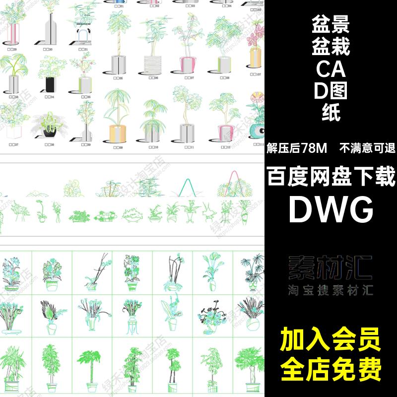 立面盆栽CAD图纸图块DWG图库花草花盆素材家装盆景植物室内绿植