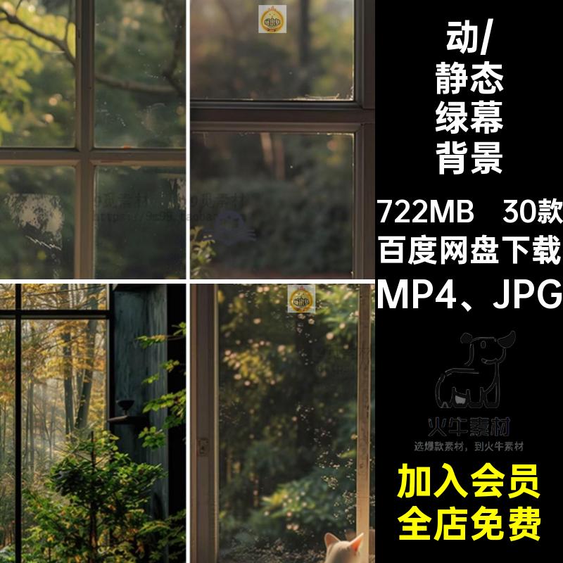 30款动态绿幕背景虚拟拟设树林设计MP4 JPG视频林绿素材抖音植物