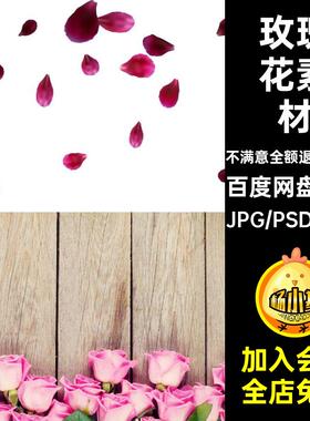 TP-33粉红色玫瑰花瓣高清图片七夕520背景海报JPG情人节设计素材