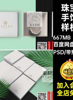 22款饰品手饰样机PSD高端贴图品牌VI袋盒psd智能包装纸