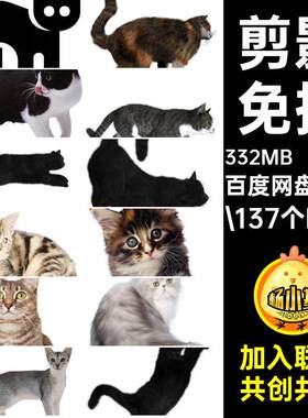 小猫图片.137个PNG速秘动物咪卡通png宠物黑色花猫素材