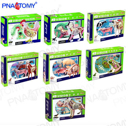 4D MASTER 动物解剖模型 家禽畜牧业大熊猫狗犬解剖猫咪牛马猪鸡