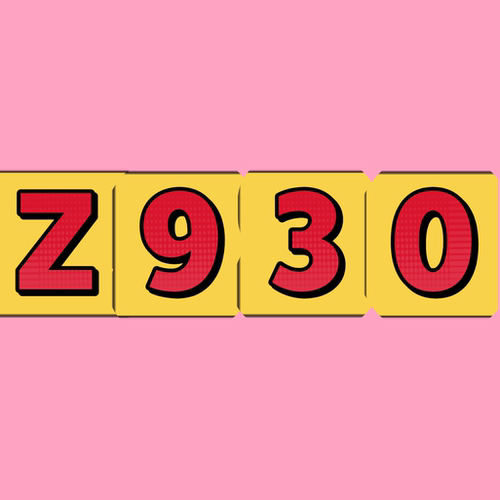 Z930   浮动款按照直播间展示地垫拍-F