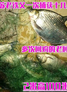 三层粘网捕鱼鱼网20米渔网四指