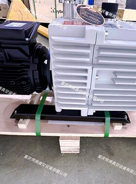 D60C真空泵31158全新