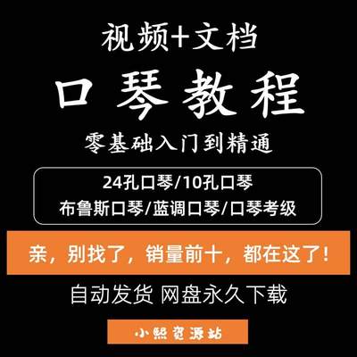 口琴自学视频教程教学零基础入门精通十孔24孔教学布鲁斯培训教材