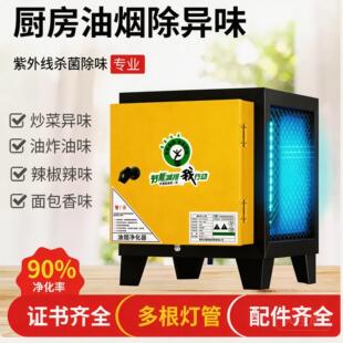 油烟净化器4000风量饭店厨房小型一体机商用高空餐饮烧烤家用除味