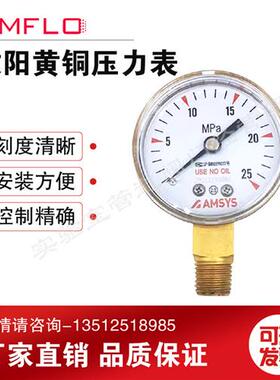 AMFLO黄铜压力表G20B 316L不锈钢压力表  25MPA  16MPA 04M