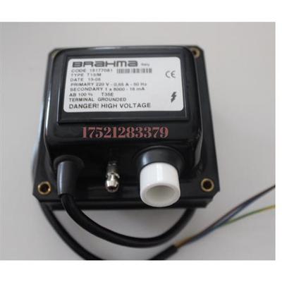 点火变压器RT14 ET401A  FT13/R  T13/R ZT930  XT-14 S8610U3009