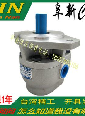 齿轮油泵 CBF-E10P E16P E18P E25P E32P E40P高压齿轮泵