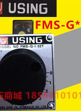 USING峰欣调速阀FMS-G08-03A 02A B P T G04 G06 G02 G12