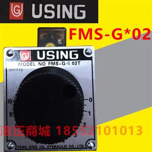 USING峰欣调速阀FMS-G08-03A 02A B P T G04 G06 G02 G12