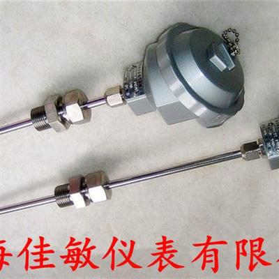WRNK-131热电偶 温度传感器 固定螺纹(活动)活动热电阻 佳敏