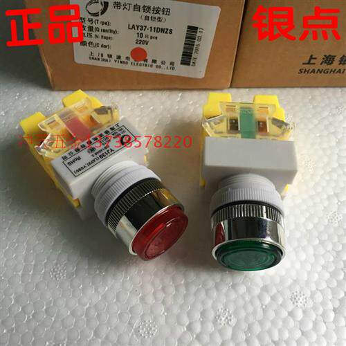 YJ139电器 LAY37-11DNZS 带灯带自锁定按钮 红绿 220V