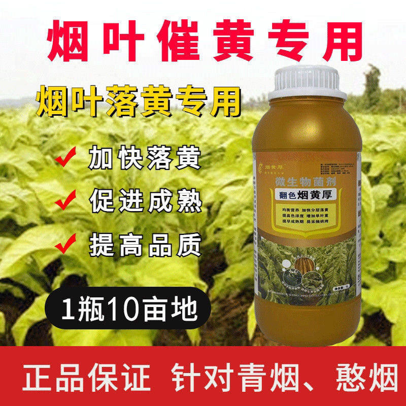 烤烟用大瓶烟黄厚生物落黄叶面肥
