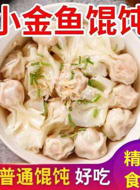 新鲜猪肉手工薄皮云吞扁食抄手鲜肉馄饨方便速食小馄饨小孩早餐