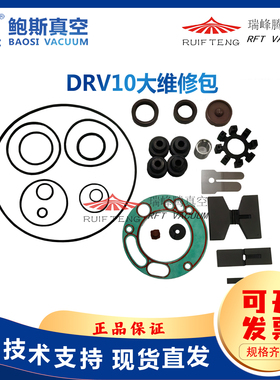 鲍斯真空泵BSV10/DRV10维修包密封配件排气阀片鲍斯DRV10叶片油封