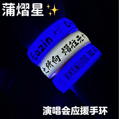 蒲熠星Eazin演唱会应援发光手环定制音乐节乐队周边荧光棒道具