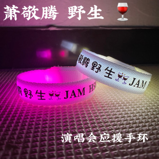 萧敬腾野生演唱会应援发光手环可定制音乐节乐队周边荧光棒闪光