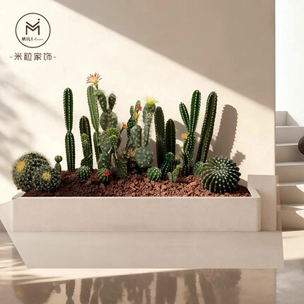北欧风仿真小仙人掌景观组合摆件仙人柱仙人球沙漠植物造景假植物