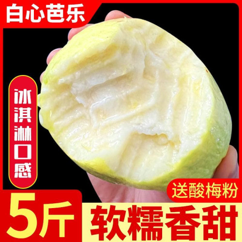 新鲜水果当季脆甜低糖老树珍珠芭乐果白心番石榴巴乐当季新鲜水果
