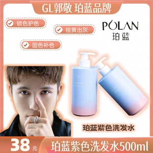 珀蓝紫色祛黄洗发水500ml补色固色护色锁色移黄洗发水理发店批发
